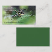 Cartes de visite d'araignée (Devant / Derrière)