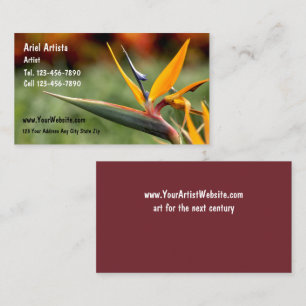 Cartes de visite d'artiste