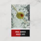 Cartes de visite de barman (Dos)