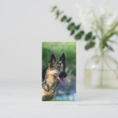 Cartes de visite de berger allemand (Debout devant)