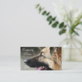 Cartes de visite de berger allemand (Debout devant)