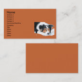 Cartes de visite de border collie Mattie (Devant / Derrière)