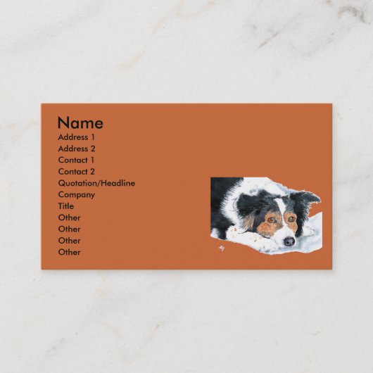 Cartes de visite de border collie Mattie (Devant)