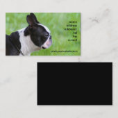 Cartes de visite de Boton Terrier (Devant / Derrière)