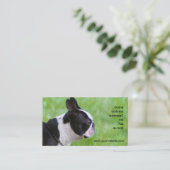 Cartes de visite de Boton Terrier (Debout devant)