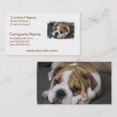 Cartes de visite de bouledogue de sommeil (Devant / Derrière)