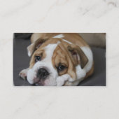 Cartes de visite de bouledogue de sommeil (Dos)