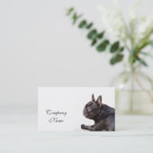 Cartes de visite de bouledogue français (Debout devant)