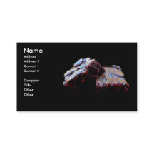 Cartes de visite de "brownie"