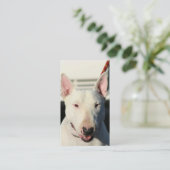 Cartes de visite de bull-terrier (Debout devant)