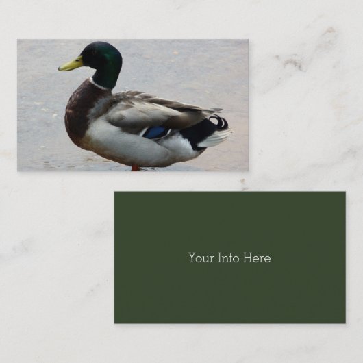 Cartes de visite de canard (Devant / Derrière)