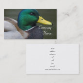 Cartes de visite de canard de Mallard (Devant / Derrière)