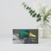 Cartes de visite de canard de Mallard (Debout devant)