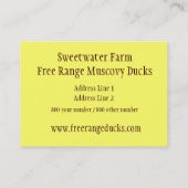 Cartes de visite de canetons de Muscovy (Dos)