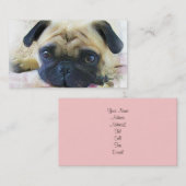 Cartes de visite de carlin (Devant / Derrière)