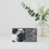 Cartes de visite de carlin (Debout devant)