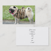 Cartes de visite de carlin (Devant / Derrière)