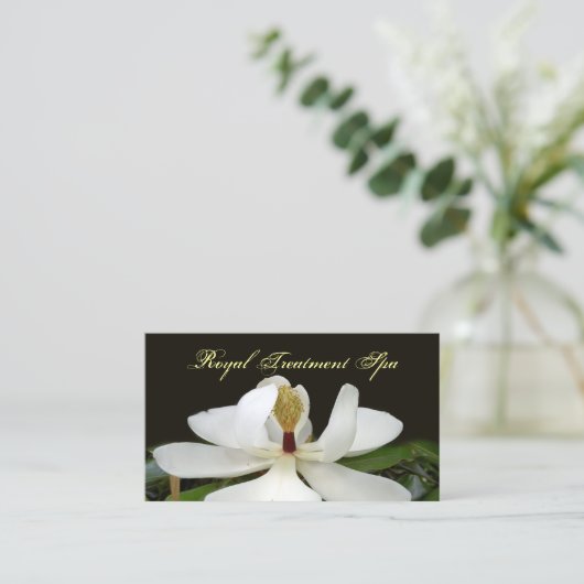 cartes de visite de cartes Spas (Debout devant)