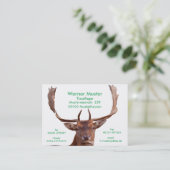 Cartes de visite de cerf (Debout devant)