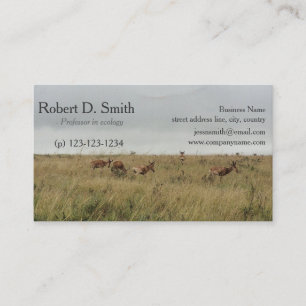 Cartes de visite de cerfs animaux sauvages africai
