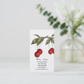 Cartes de visite de cerises (Debout devant)