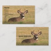 cartes de visite de chasse (Devant / Derrière)