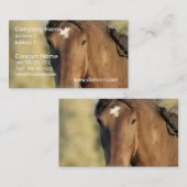 Cartes de visite de cheval de Morgan (Devant / Derrière)