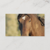 Cartes de visite de cheval de Morgan (Dos)