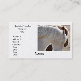 Cartes de visite de cheval de trait