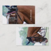 Cartes de visite de cheval de Warmblood de (Devant / Derrière)