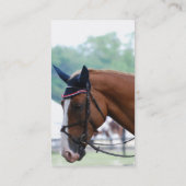 Cartes de visite de cheval de Warmblood de (Dos)