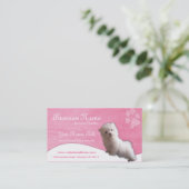 Cartes de visite de chien : : Chiot maltais (Debout devant)