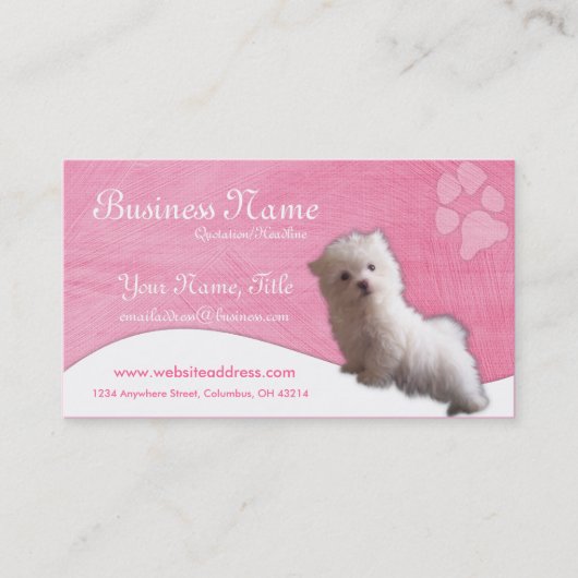 Cartes de visite de chien : : Chiot maltais (Devant)