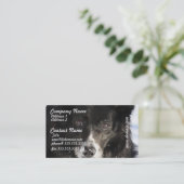 Cartes de visite de chien de border collie (Debout devant)