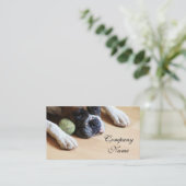 Cartes de visite de chien de boxeur (Debout devant)