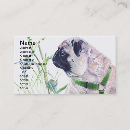 Cartes de visite de chien de carlin (Devant)
