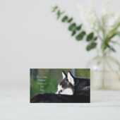 Cartes de visite de chien de traîneau sibérien (Debout devant)