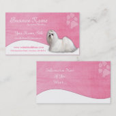 Cartes de visite de chien : : Maltais (Devant / Derrière)