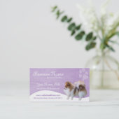 Cartes de visite de chien : : Pomeranian D2b (Debout devant)