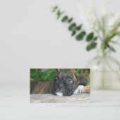 Cartes de visite de chiot de boxeur (Debout devant)