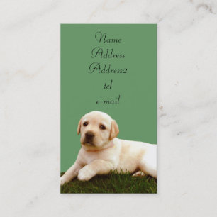 Cartes de visite de chiot de Labrador