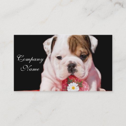 Cartes de visite de chiot du bouledogue de (Devant)