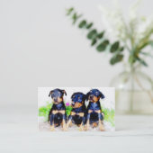 Cartes de visite de chiots de dobermann (Debout devant)