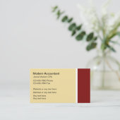 Cartes de visite de comptable moderne (Debout devant)
