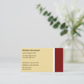 Cartes de visite de comptable modernes (Debout devant)