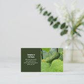 cartes de visite de concombre (Debout devant)