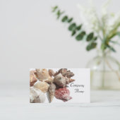 Cartes de visite de coquillages (Debout devant)