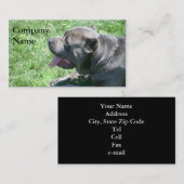 Cartes de visite de Corso de canne (Devant / Derrière)