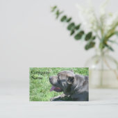 Cartes de visite de Corso de canne (Debout devant)