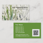 Cartes de visite de coutume de champ de blé (Devant / Derrière)